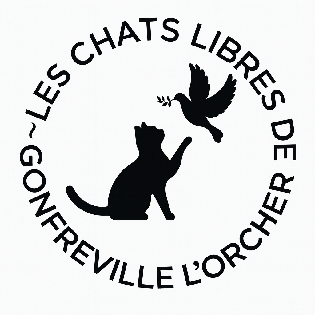 bienvenue
