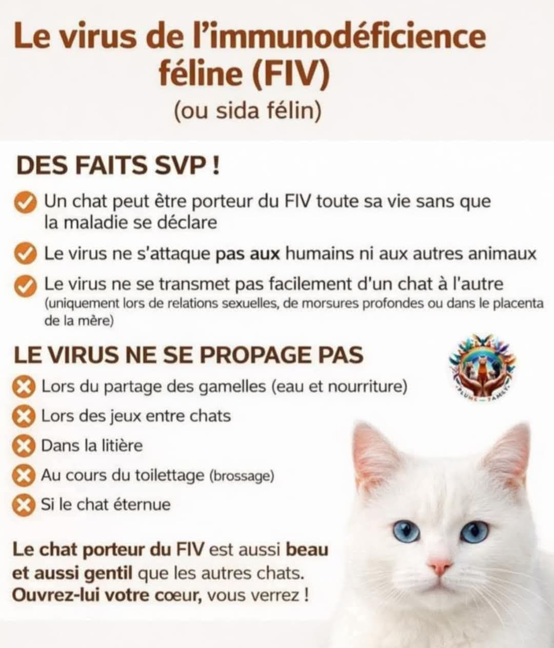 FIV