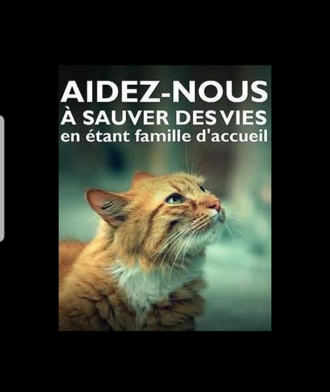 URGENT