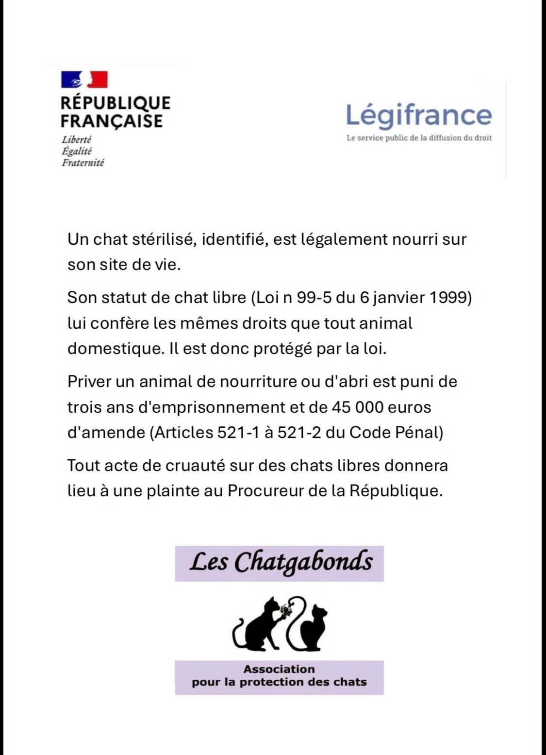 vide grenier