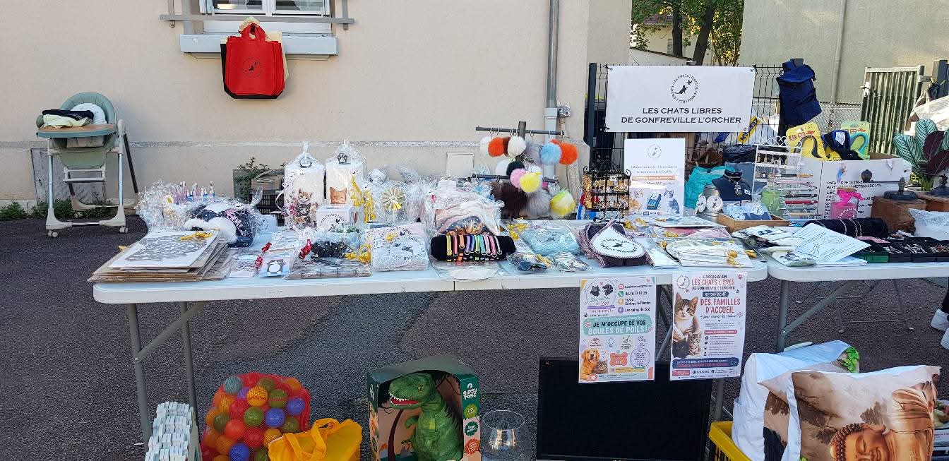vide grenier