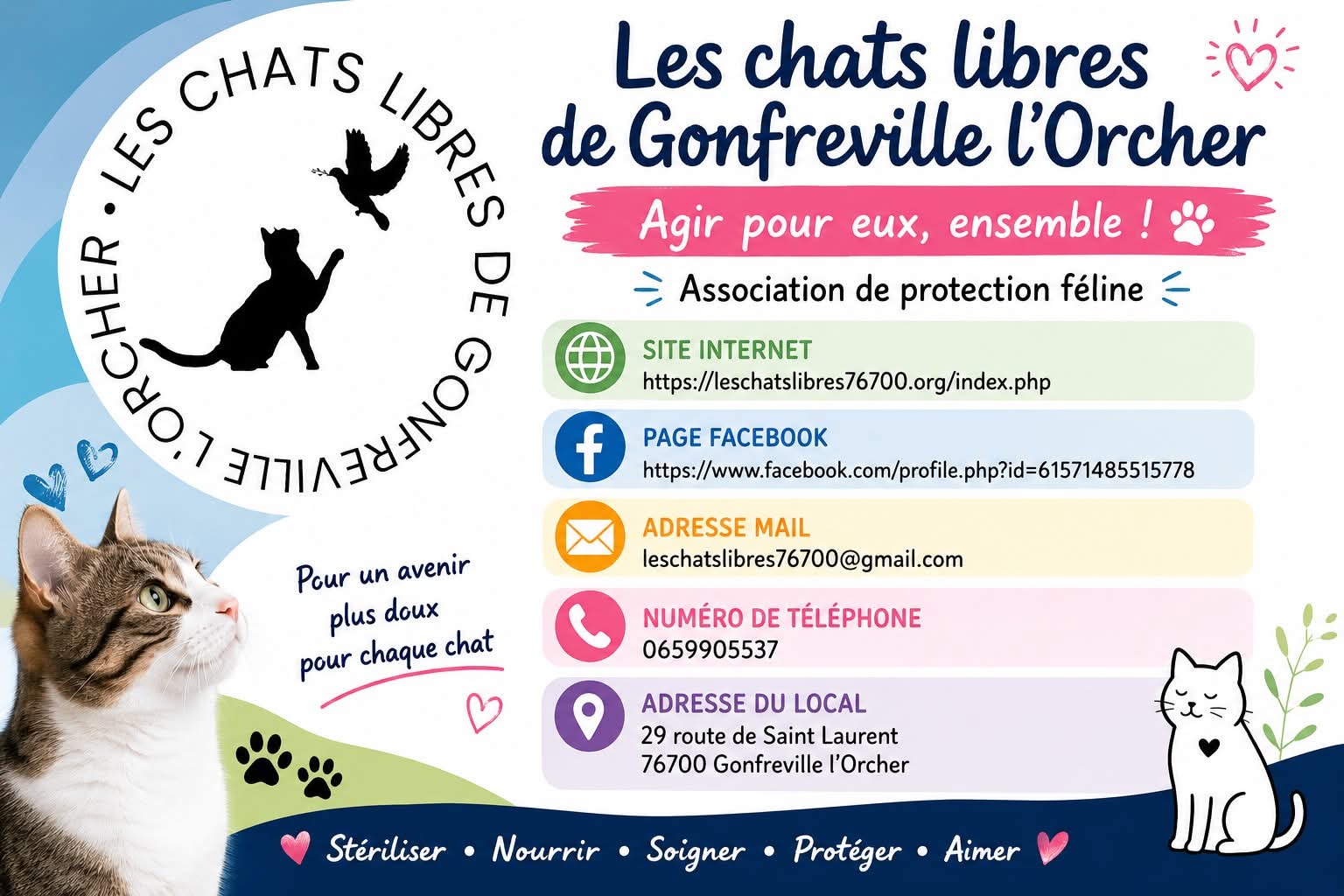 nous contacter 😺