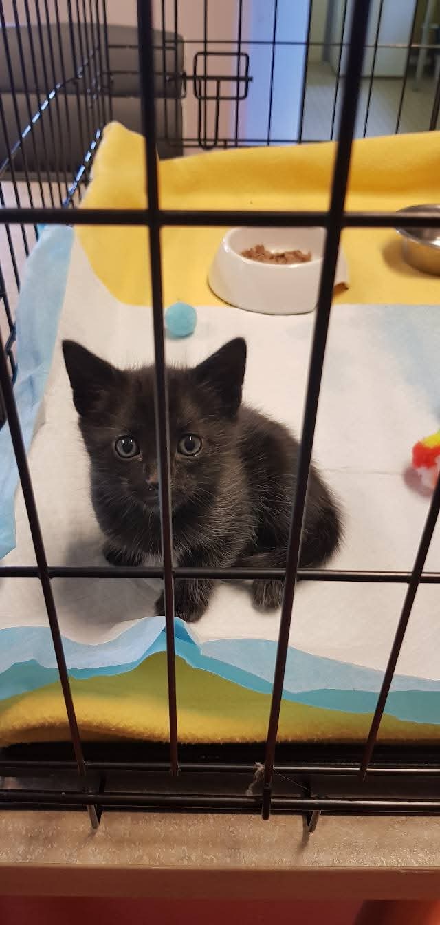 Nouvelle prise en charge 1/2
