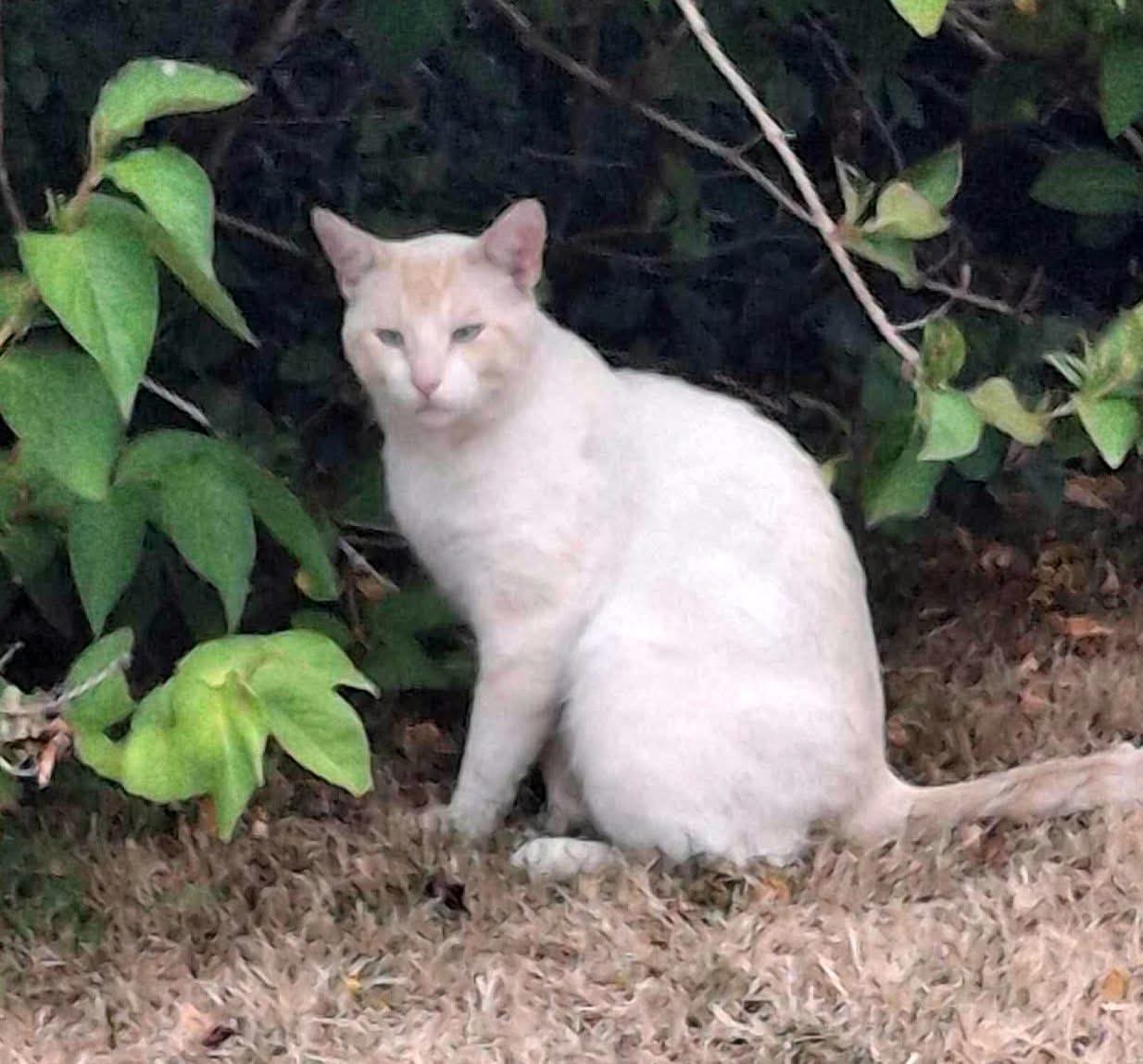 Zeus