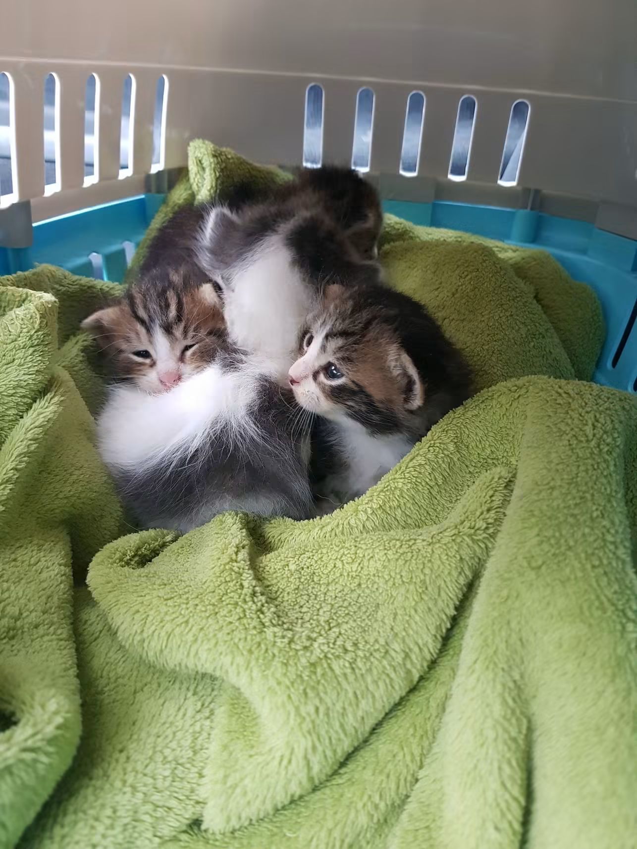 Nouvelle prise en charge