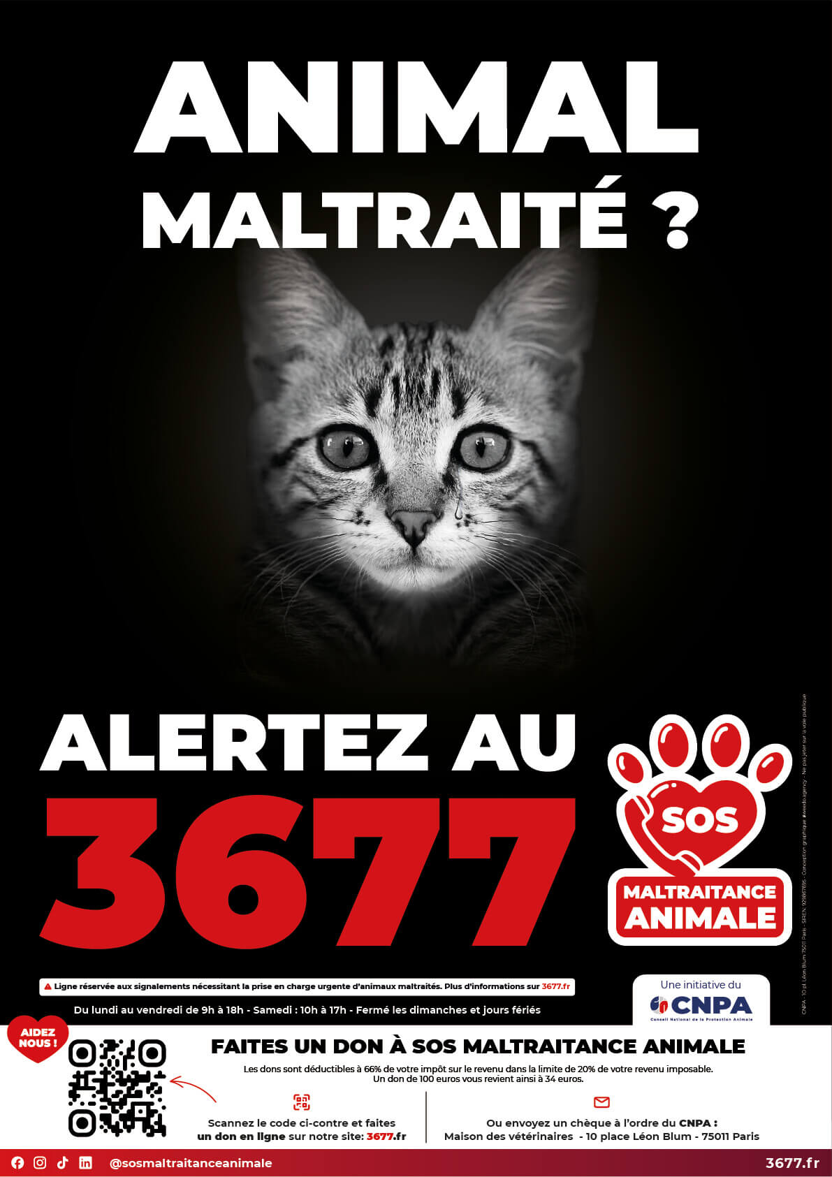 témoin de maltraitance animale ?