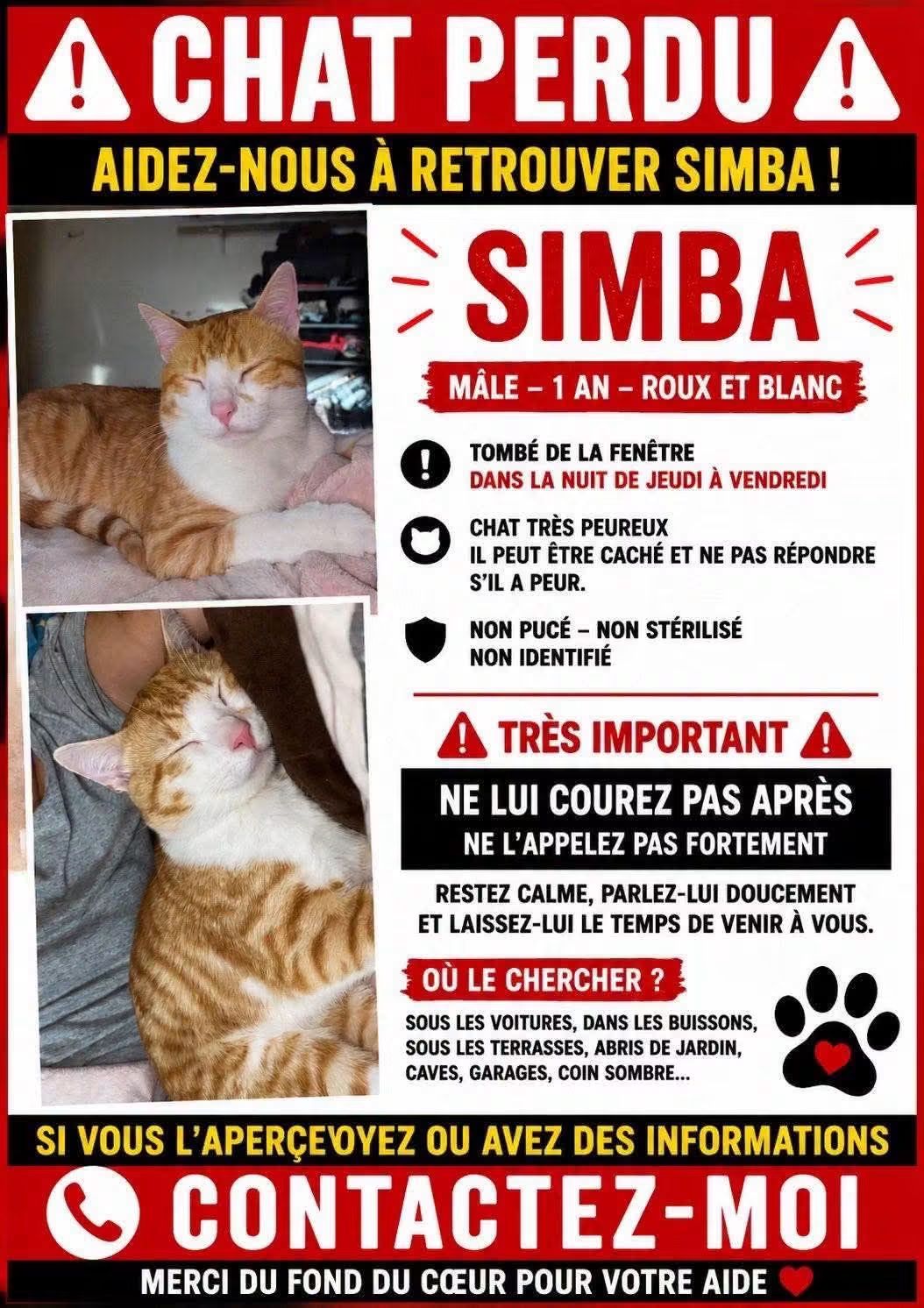 Simba