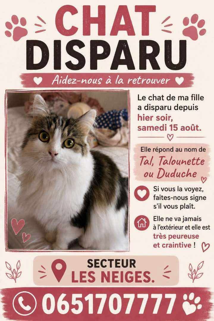 Talounette
