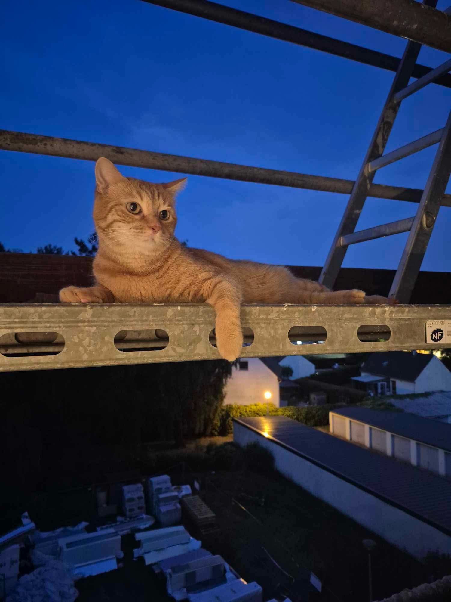 Chat
