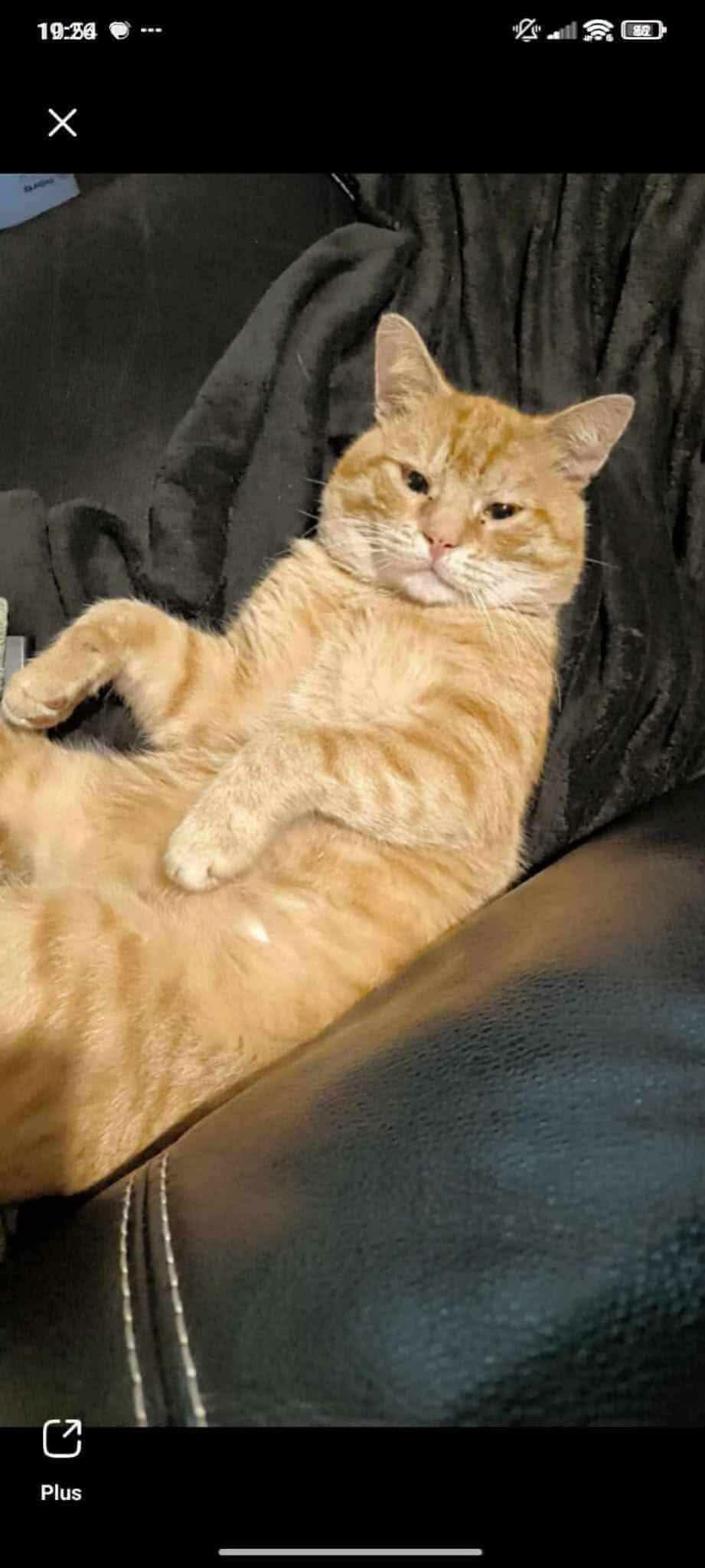 Chat