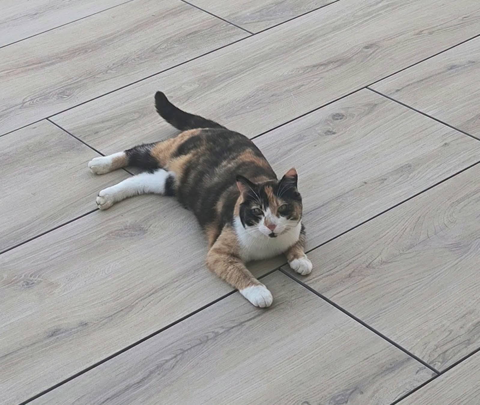 Nala