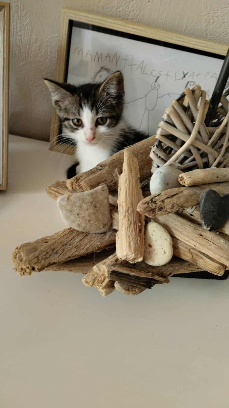 Chat