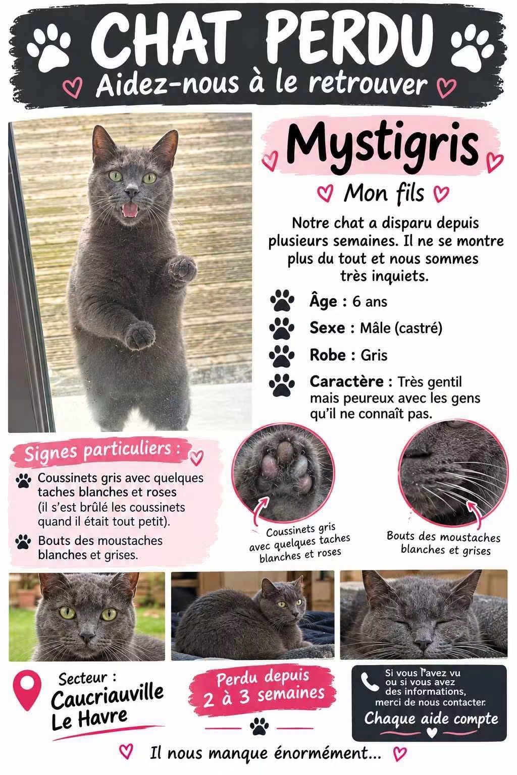 Mystigris